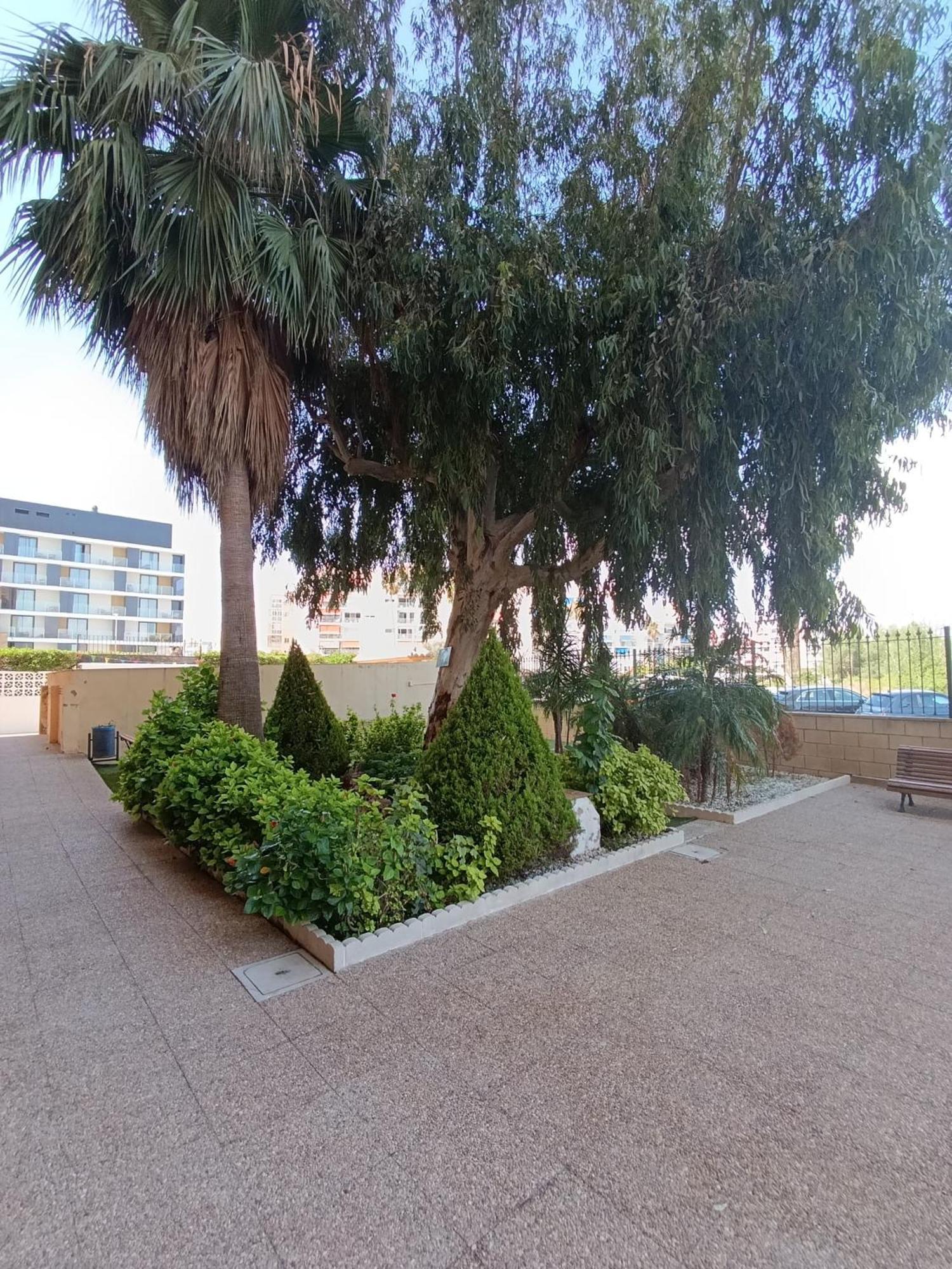 Luminoso Estudio Con Vistas Al Mar Las Canteras  ภายนอก รูปภาพ